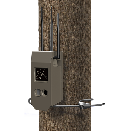 Cudde Back Cuddelink Bear Safe G Series Midwest Archery