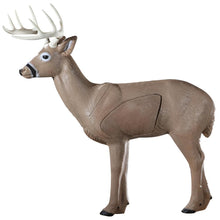 Load image into Gallery viewer, Rinehart Woodland Buck Target