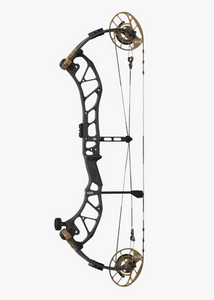 Black/Bronze