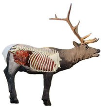 Load image into Gallery viewer, Delta McKenzie Elk QuivAR Enabled 3D Archery Target