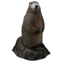 Load image into Gallery viewer, Delta McKenzie Backyard 3D Woodchuck