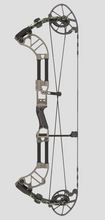 Load image into Gallery viewer, Ridge Rock/Bottomland