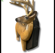 Load image into Gallery viewer, 365 Archery Target Buddy 3D Target System - Whitetail