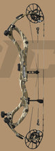 Load image into Gallery viewer, Bottomland