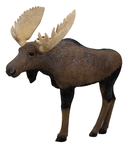 Rinehart 1/3 Scale Woodland Moose Target