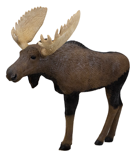 Rinehart 1/3 Scale Woodland Moose Target