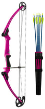 Load image into Gallery viewer, Genesis Bow Kit RH Purple - Midwest Archery