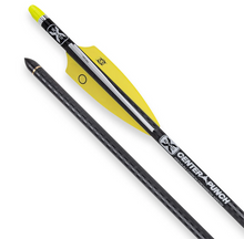 Load image into Gallery viewer, 6 TenPoint Evo-X Center Punch Arrows w/Alpha Nock 20&quot;