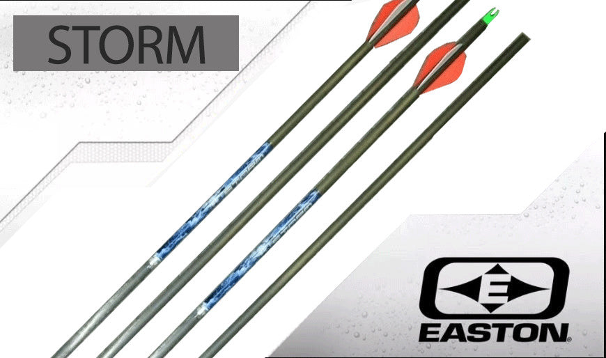 Easton Storm Carbon Arrows Fletched