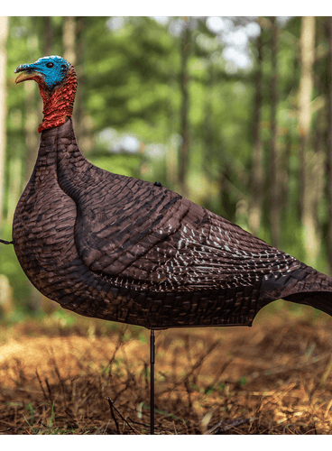 Primos Photoform Jake Turkey Decoy