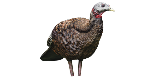 Avian X Turkey Decoy LCD Breeder Hen - Midwest Archery