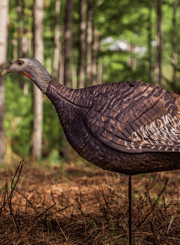 Primos Photoform Hen Turkey Decoy