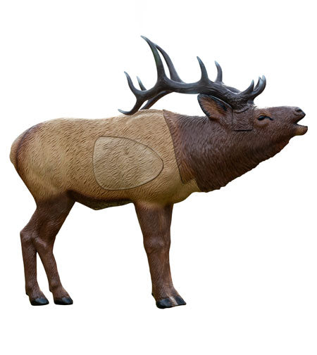 Rinehart 1/3 Scale Woodland Elk Target