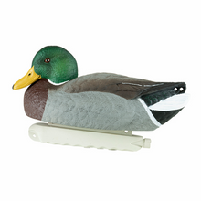 Load image into Gallery viewer, Cupped Waterfowl Finishing Mallards, 12pk - Midwest Archery