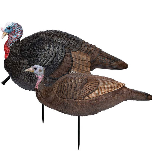 Primos Lil Gobbstopper Hen & Jake Turkey Decoy Combo