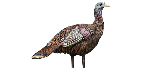 Avian X Turkey Decoy LCD Lookout Hen